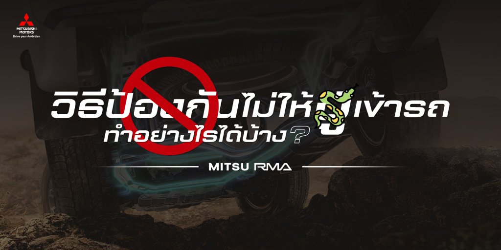 สาเหตุและวิธีป้องกันไม่ให้ งูเข้ารถ ทำอย่างไรได้บ้าง